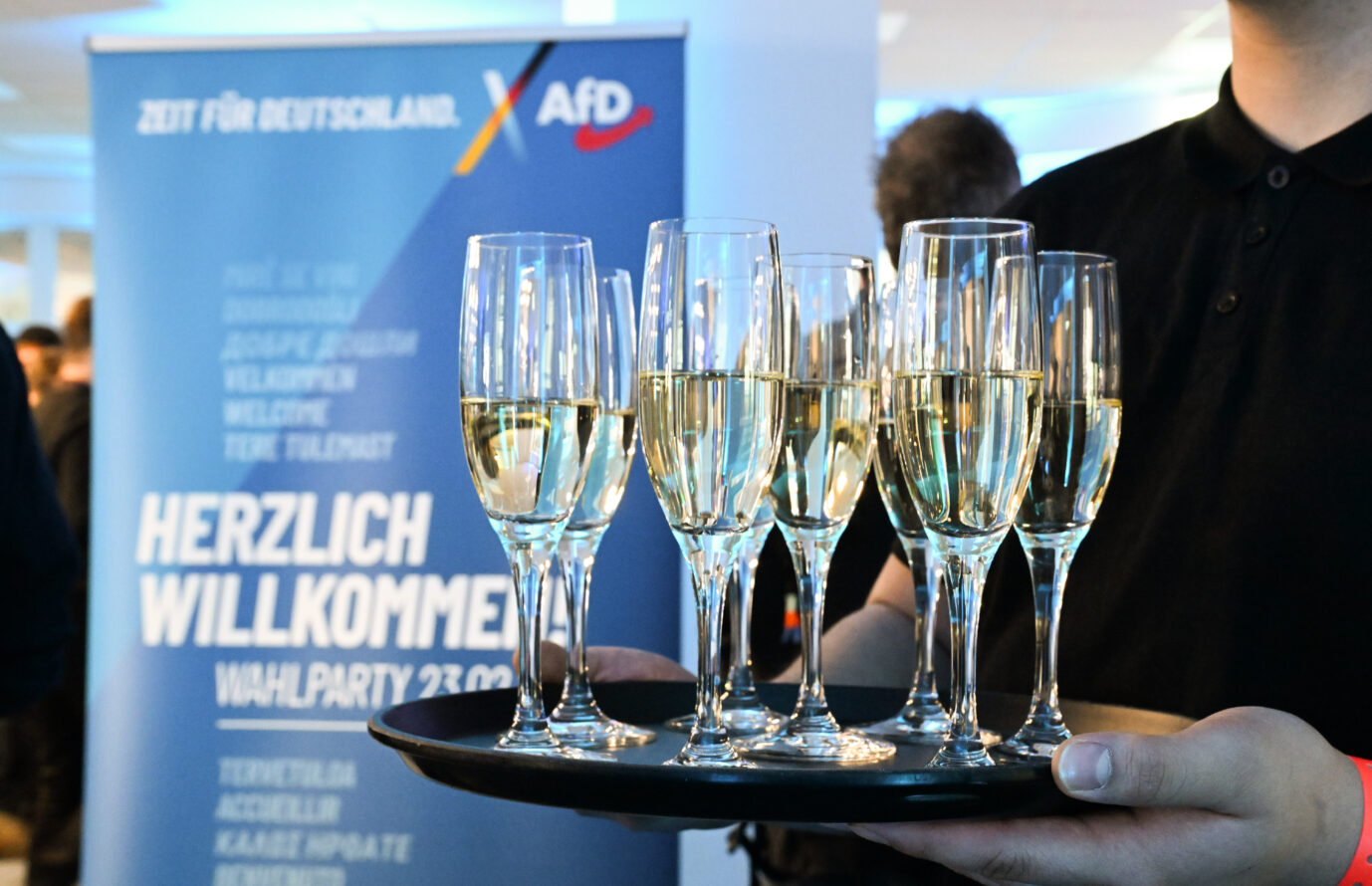 Sekt auf einer AfD-Wahlparty (Symbolbild): Wieder bei 25 Prozent. Foto: picture alliance/dpa | Julian Stratenschulte