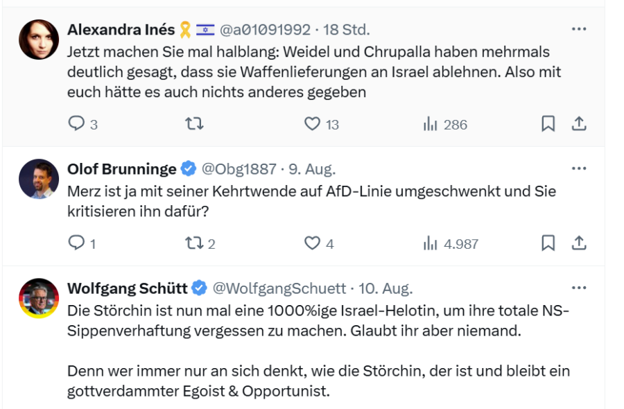 Auch in den Kommentaren geht es heiß her. Quelle: X / Beatrix von Storch / JF