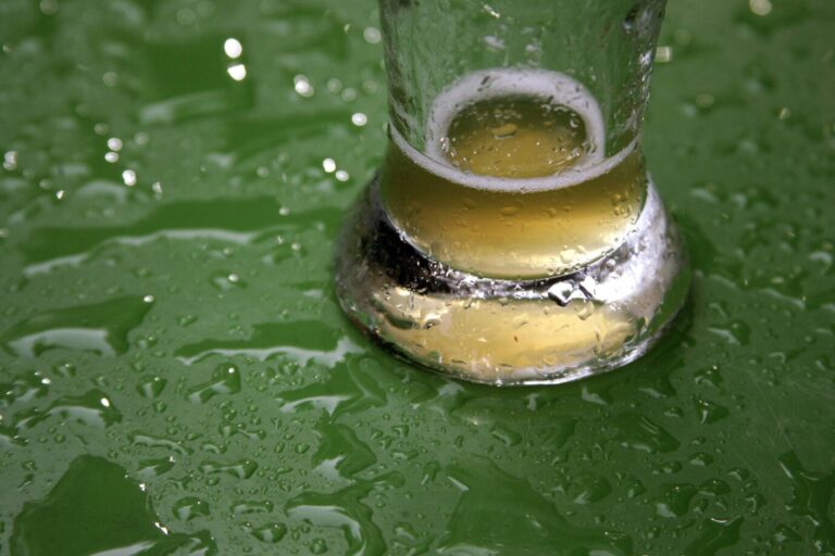 Nahaufnahme eines fast leeren Bierglases auf einem grünen, mit Regentropfen bedeckten Biertisch – Symbolbild für den rückläufigen Bierabsatz in Deutschland im ersten Halbjahr 2025. Nasses Glas auf nassem Tisch: Der Bierabsatz trocknet trotzdem aus. Foto: IMAGO / Ralph Peters