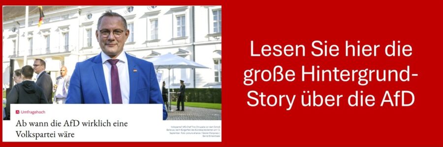 AfD auf dem Vormarsch