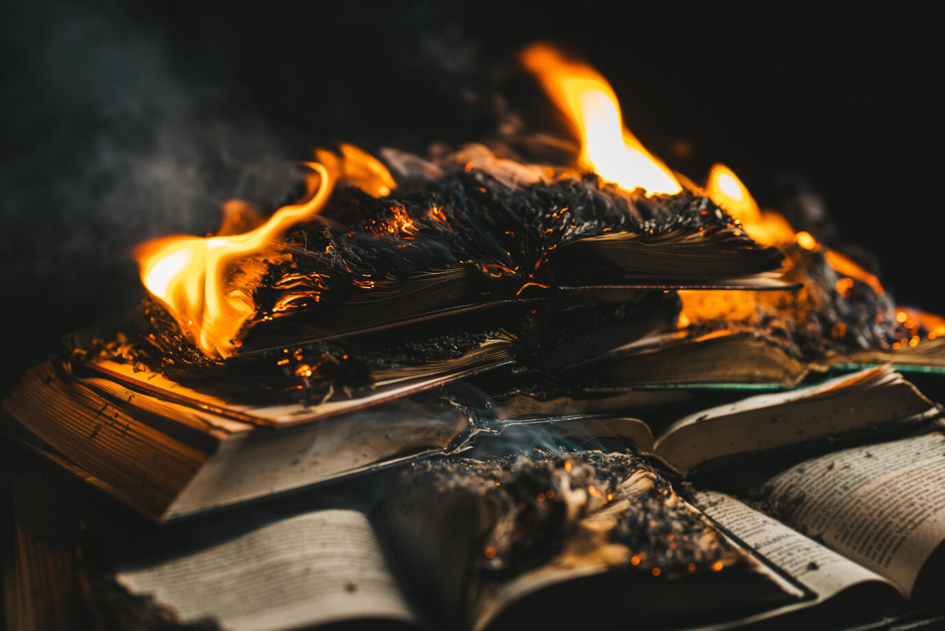 Das Foto soll die Tat eines Mannes aus Burkina Faso symbolisieren, der in Berlin Bücher zur französischen Geschichte in Brand steckte.