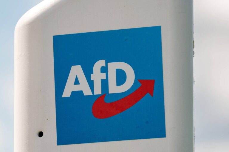 Das Bild zeigt das Logo der AfD.