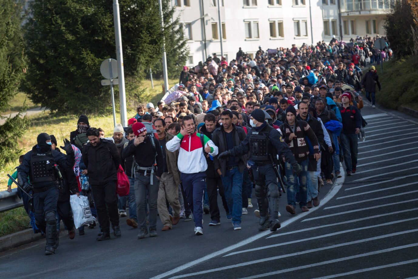 Man sieht eine riesige Gruppe von Asylbewerbern, die i November 2015 die Grenze nach Österreich überqueren – weil Angela Merkal damals die Grenzöffnung vollzogen hatte – wie unsere Insa-Umfrage zeigt, finden das viele Deutsche im Rückblick gar nicht mehr so swag