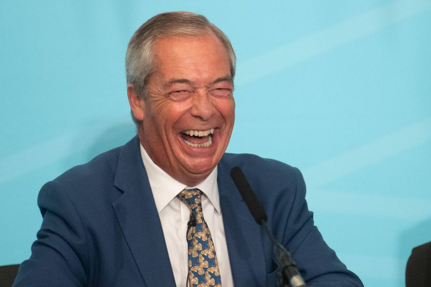 Das Bild zeigt Nigel Farage.