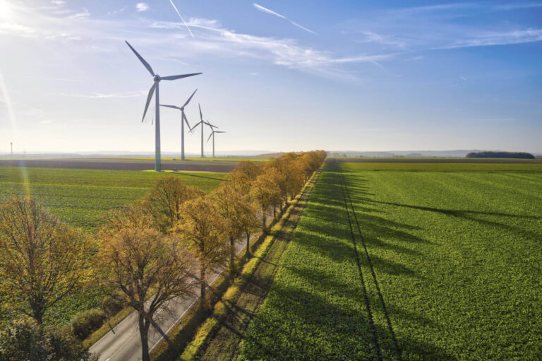 Eine Landstraße mit herbstlichen Bäumen, dahinter stehen Windräder und produzieren aufgrund des Herbstwindes zu viel Strom