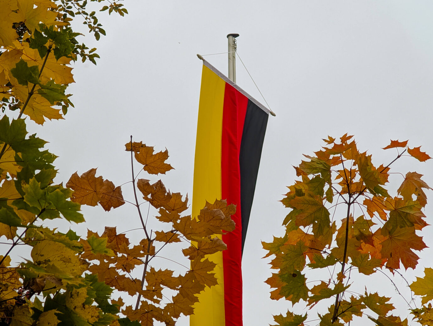 Deutschlandflagge hängt an einem Mast zwischen herbstlichen Baumblättern, aufgenommen in Fulda. Bezug zur Meldung über Ermittlungen nach einer Flaggen-Aktion im Sauerland. Deutschlandflagge an einem Mast in herbstlicher Umgebung: Nach nächtlichen Hissaktionen im Sauerland ermittelt der Staatsschutz. Foto: IMAGO / NurPhoto