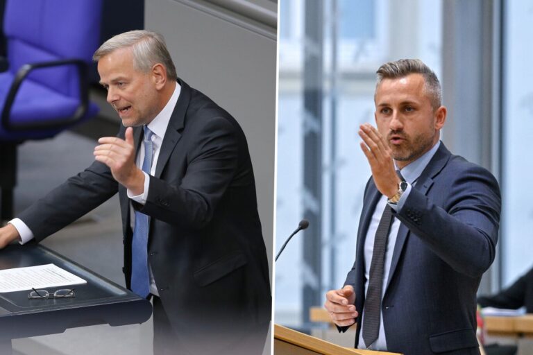 Die Grafik zeigt die AfD-Politiker Leif-Erik Holm und Ulrich Siegmund.