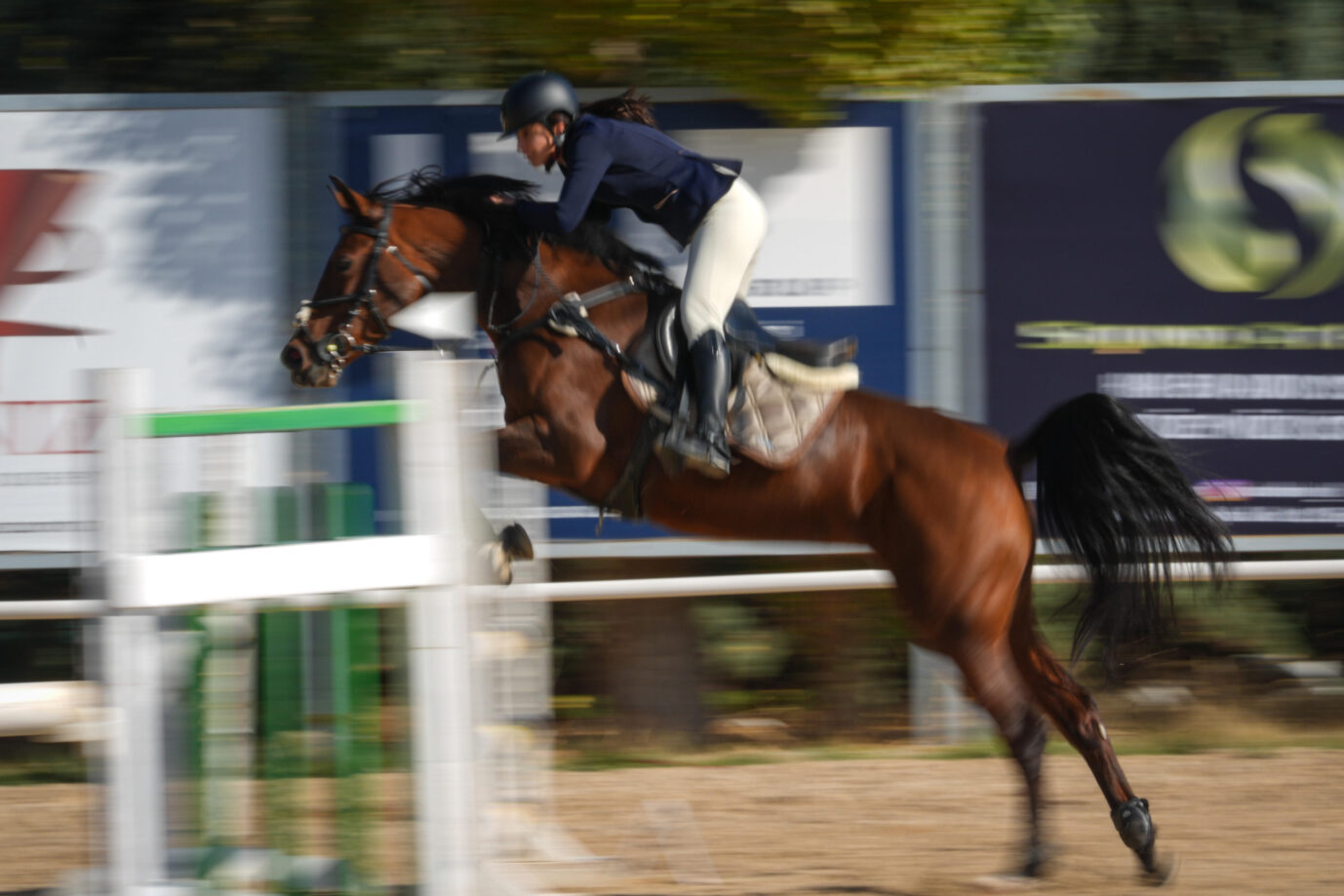 Das Bild zeigt einen Sprungreiter und sein Pferd.