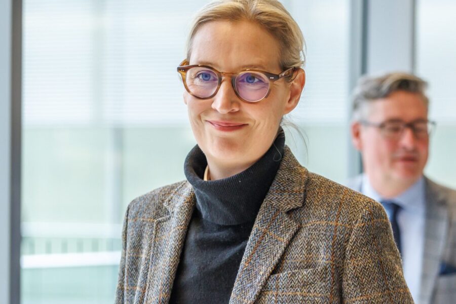 Die AfD-Vorsitzende Alice Weidel ist die einzige Parteichefin, die promovierte Wirtschaftswissenschaftlerin ist.
