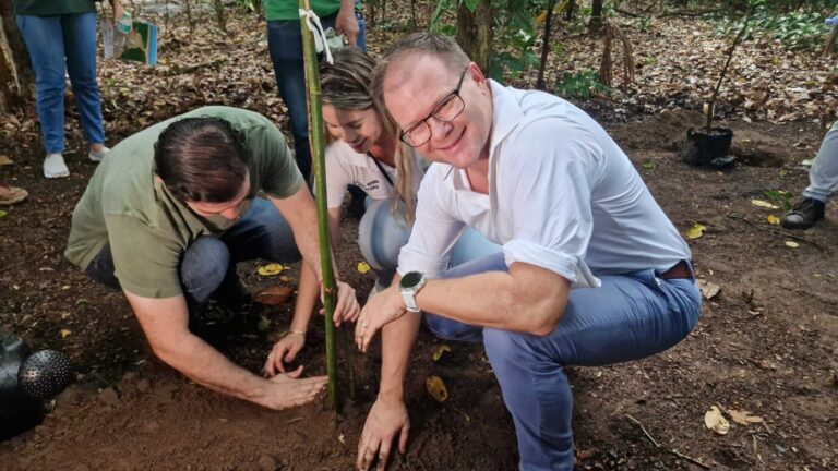 Deutschland. Bundesumweltminister Carsten Schneider (SPD, r) pflanzt mit dem Bürgermeister von Belém, Igor Normando (l), einen Baum. Foto: picture alliance/dpa | Larissa Schwedes