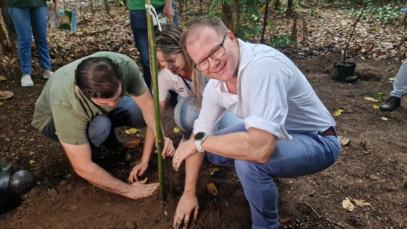 Deutschland. Bundesumweltminister Carsten Schneider (SPD, r) pflanzt mit dem Bürgermeister von Belém, Igor Normando (l), einen Baum. Foto: picture alliance/dpa | Larissa Schwedes