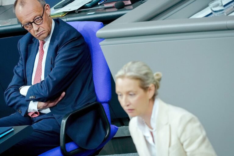 Das Bild zeigt Friedrich Merz und Alice Weidel.