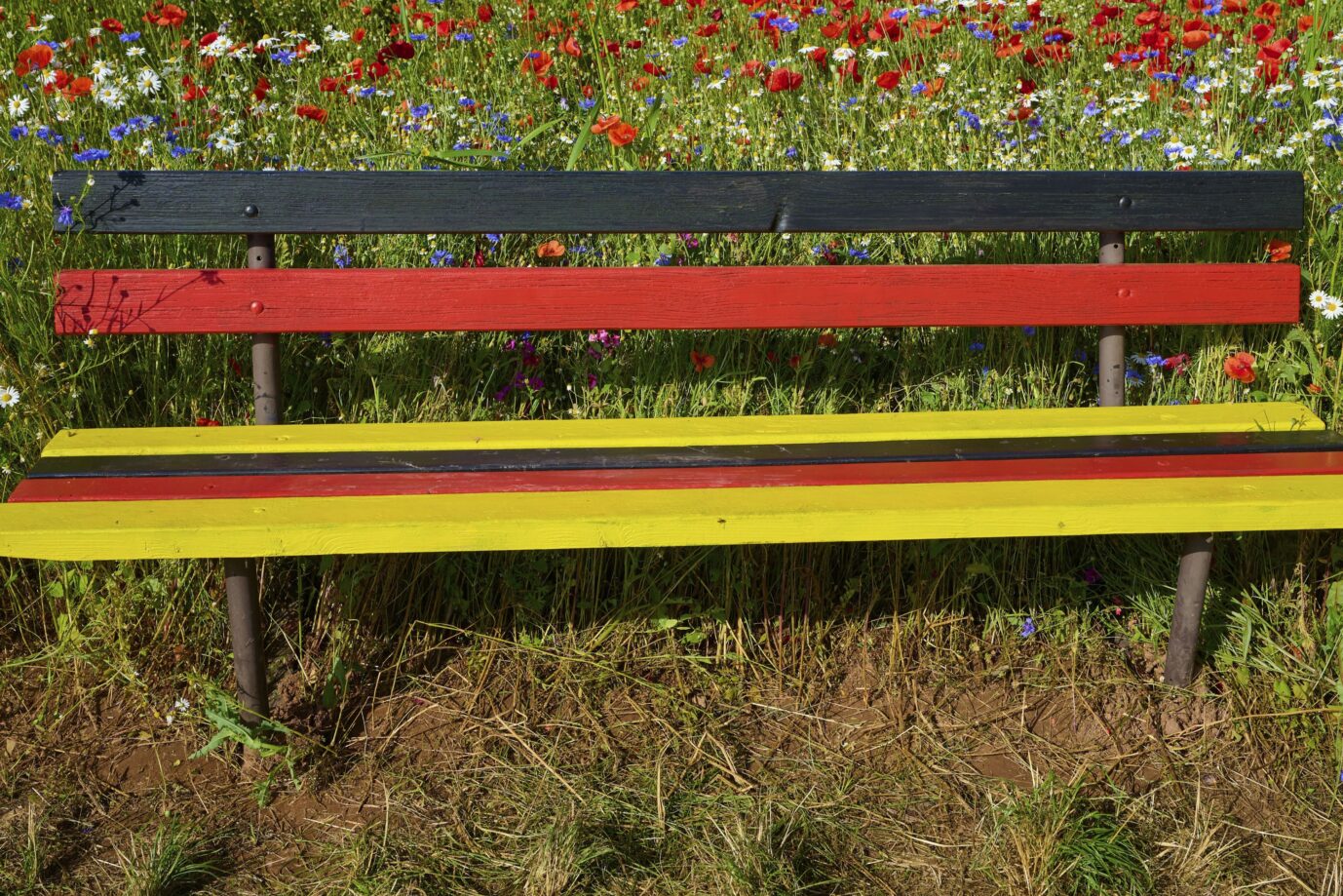 Sitzbank in den Farben der deutschen Flagge vor einem Blumenfeld mit Schlafmohn (Papaver somniferum), und Klatschmohn (Papaver rhoeas), Sommer, Germerode, Geo Naturpark Frau-Holle-Land, Hoher Meissner, Hessen, Deutschland, Europa. In Düsseldorf ermittelt der Staatsschutz wegen einer Aktion, bei der Unbekannte eine regenbogenfarbene Bank mit den Deutschlandfarben übermalten.