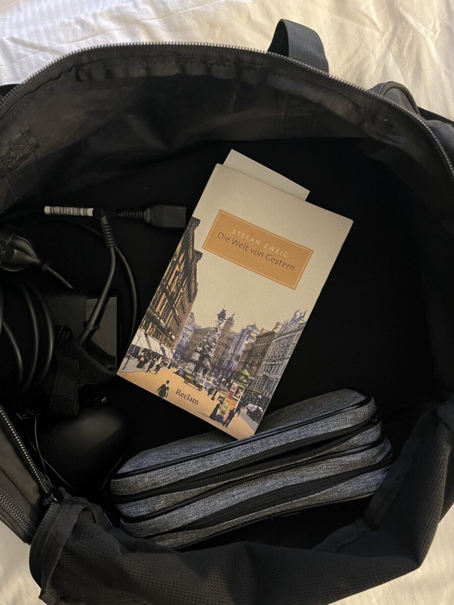 Mit Zweig zur Buchmesse. Foto: JF