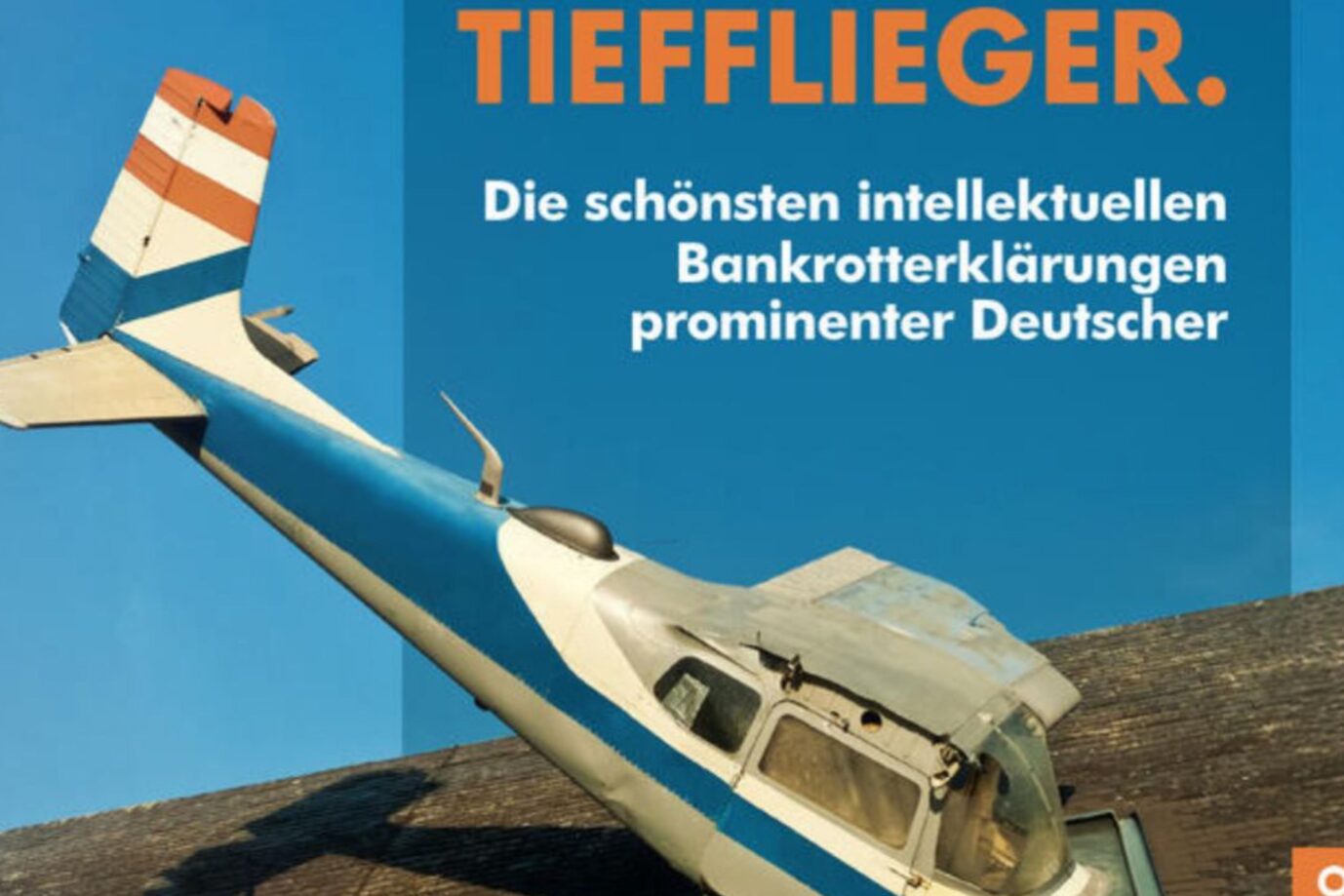 Das Bild zeigt das Buchcover von „Tiefflieger – Die schönsten intellektuellen Bankrotterklärungen prominenter Deutscher“.