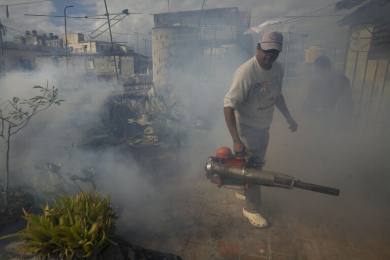 Mücken, die das Dengue-Fieber übertragen, sollen auf Kuba mit chemischen Mitteln bekämpft werden (Archivbild).