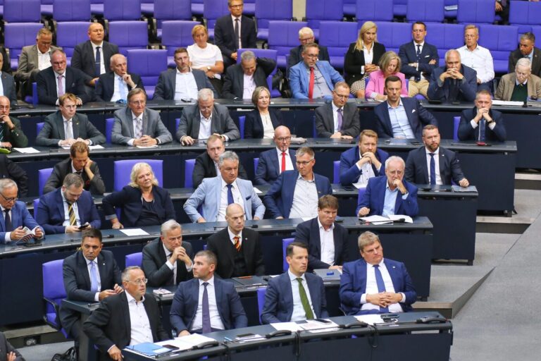 AfD-Fraktion im Bundestag: Kommt der Anti-Mercosur-Antrag. Foto: picture alliance / dts-Agentur | - Freihandel als Streitthema?