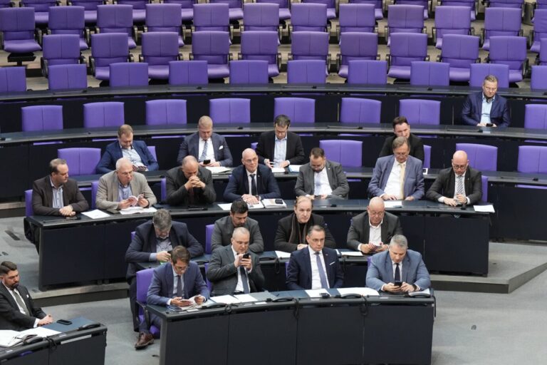 Abgeordnete der AfD-Fraktion in der vergangenen Woche im Bundestag: Kritik an Mercosur. Foto: picture alliance/dpa | Michael Kappeler. Mercosur.