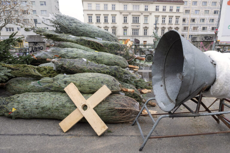 Christbaumverkauf, Österreich // Christmas tree sale, Austria - 20251215_PD12582. In Deutschland gibt es viel Steuer-Lametta.