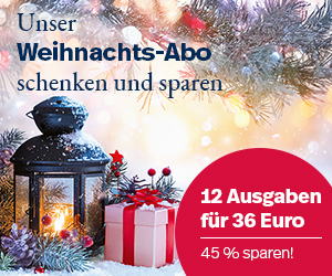 Weihnachts-Abo, Laterne, Schnee
