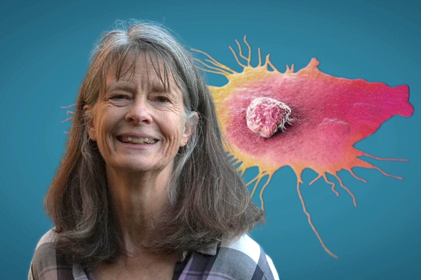 Immunologie Kommt bald eine Spritze gegen Krebs?