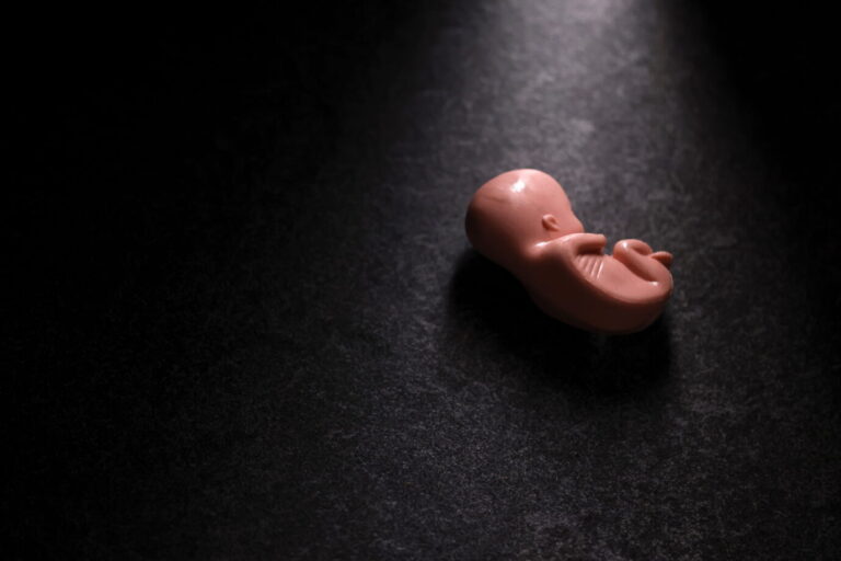 Kleines Modell eines menschlichen Embryos liegt auf dunklem Untergrund. Illustration zum Thema Abtreibung, Auslandsförderung und staatliche Zahlungen an internationale NGOs. Plastikmodell eines Embryos: Die Bundesregierung bestreitet eine Förderung von Abtreibung, zahlt jedoch Millionen an entsprechende Organisationen. Foto: picture alliance / Panama Pictures | Christoph Hardt