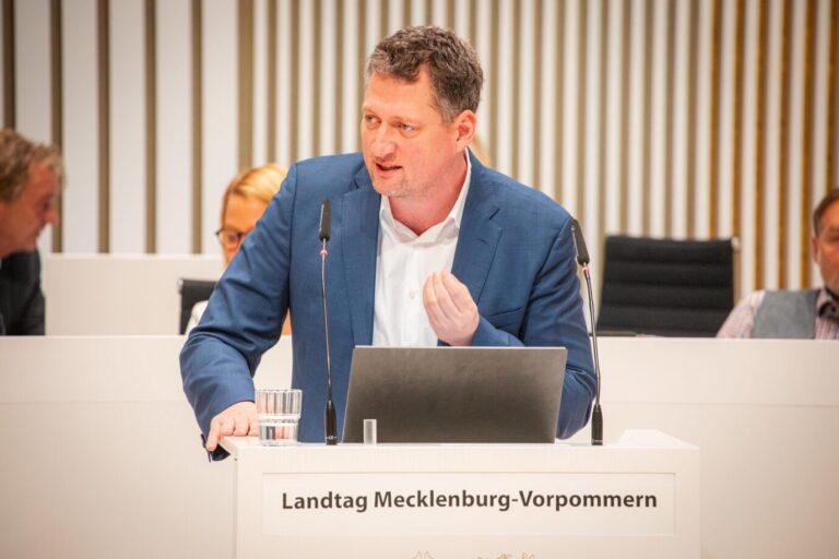 Jan-Phillip Tadsen im Landtag von Mecklenburg-Vorpommern während einer Rede. Regierung.