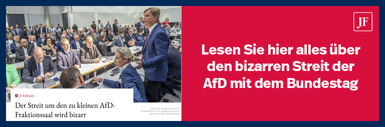 Lesen Sie hier alles über den bizarren Streit der AfD mit dem Bundestag