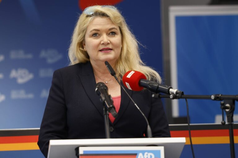 Das Bild zeigt die Chefin der AfD Berlin, Kristin Brinker.