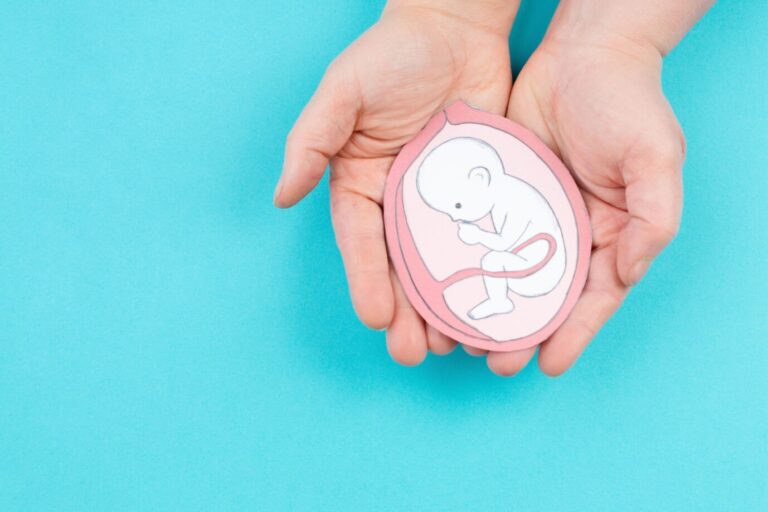 Das Bild zeigt ein Symbolbild eines Ungeborenen Kindes in der Gebärmutter, es ist eine Zeichnung eines Fötus im letzten Trimester der Schwangerschaft. Es ist ein Symbolbild für Leihmutterschaft, Geburt und Mutterschaft.