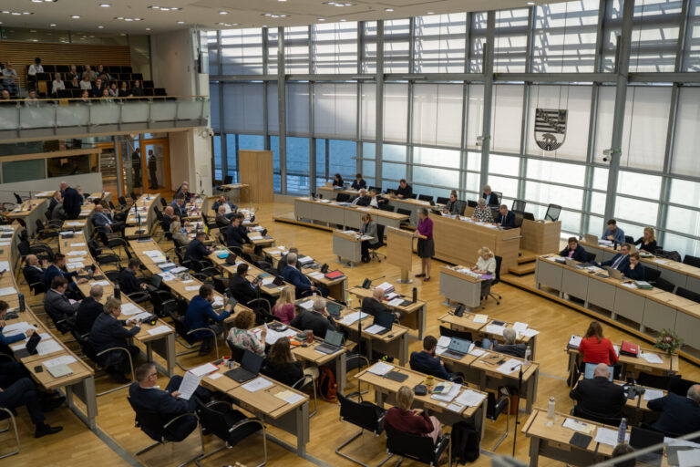 AfD. Sitzung im Landtag von Sachsen-Anhalt, Foto: DZBA/Jonas Lohrmann
