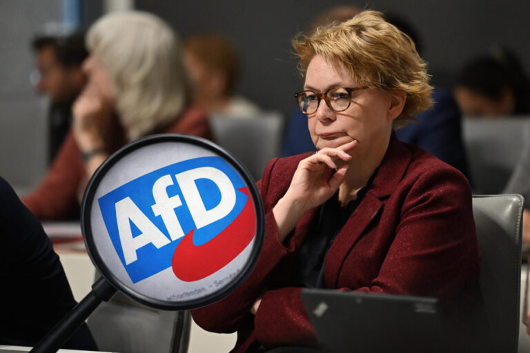 Niedersachsens Innenministerin Daniela Behrens und ein AfD-Logo unter einer Lupe
