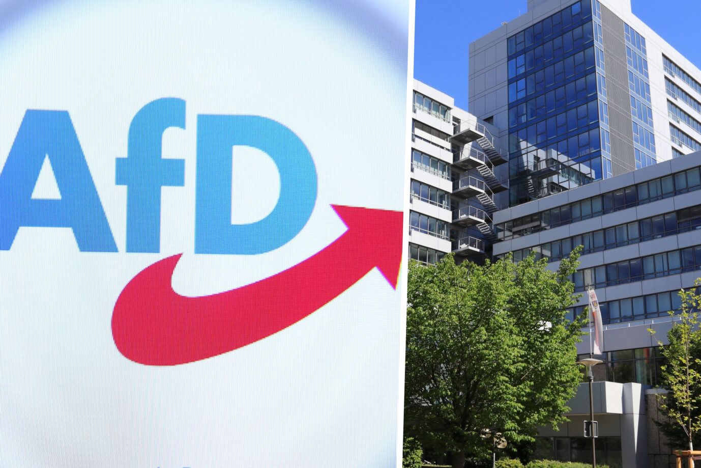 Das Bild zeigt das Logo der AfD und das Rathaus von Erlangen.