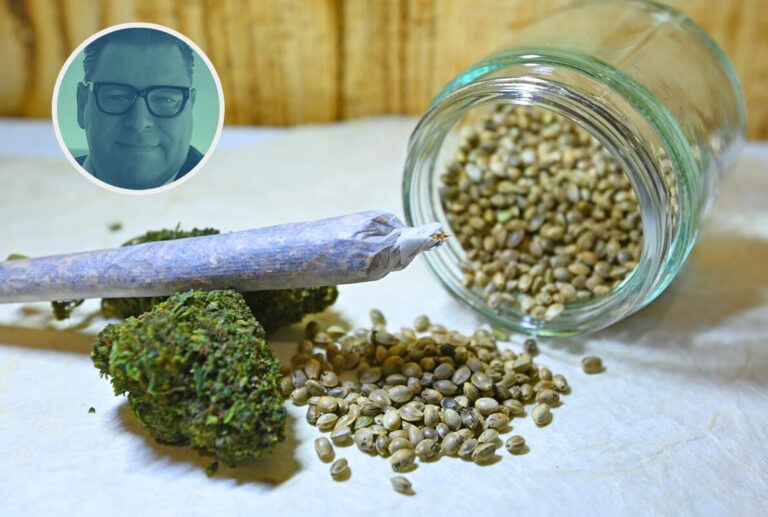 Cannabis-Samen zum Joint: Die Teillegalisierung sorgt für gern verdrängte Probleme.