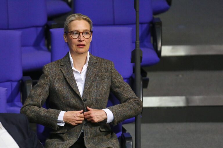 Das Bild zeigt die AfD-Bundesvorsitzende, Alice Weidel. Sie fordert die Ausreise vieler in Deutschland lebender Syrer.