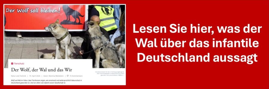 Der Buckelwal und wir