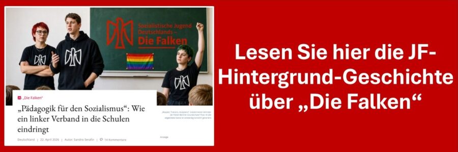 Alle Hintergründe zu den Falken.