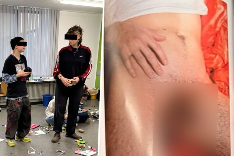 Das Bild zeigt zwei von der Amadeu Antonio Stiftung geförderte Linksextremisten, sowie eine homosexuelle pornographische Abbildung.