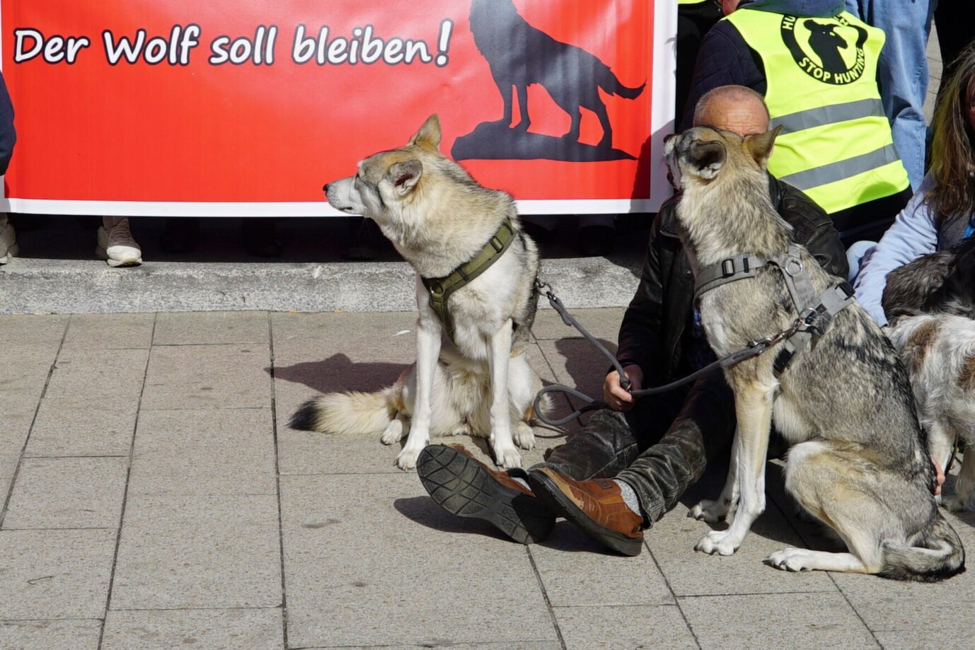 Das Bild zeigt eine Demonstration für den Artenschutz vom Wolf.