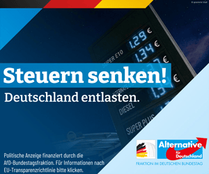 AfD Bundestagsfraktion, Spritpreise, Steuern runter
