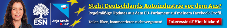 Anja Arndt, AfD