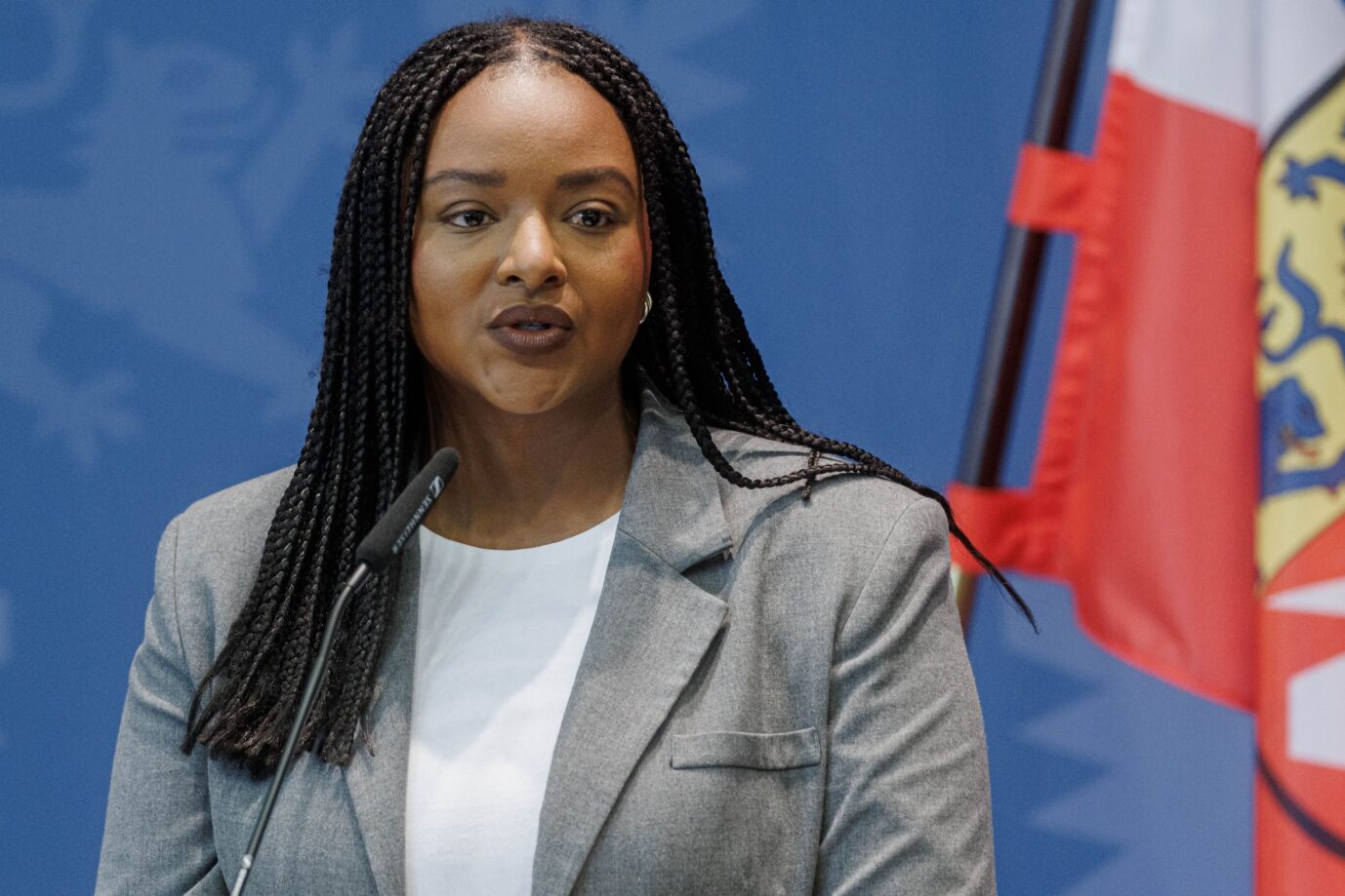 Das Bild zeigt Aminata Touré von den Grünen.