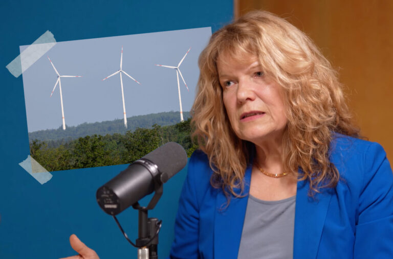 Eine Frau mit rotblonden Haaren spricht, im Hintergrund sind Windräder zu sehen, Symbolbild für Petra Pinzlers Aussagen über die Energiewende