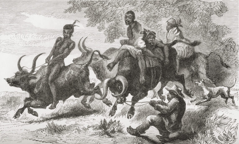 Angehörige der Khoisan, 1884 auf Bullen: Innerafrikanische Vertreibungen und Sklaverei waren nicht unüblich. Foto: picture alliance / Design Pics | Ken Welsh