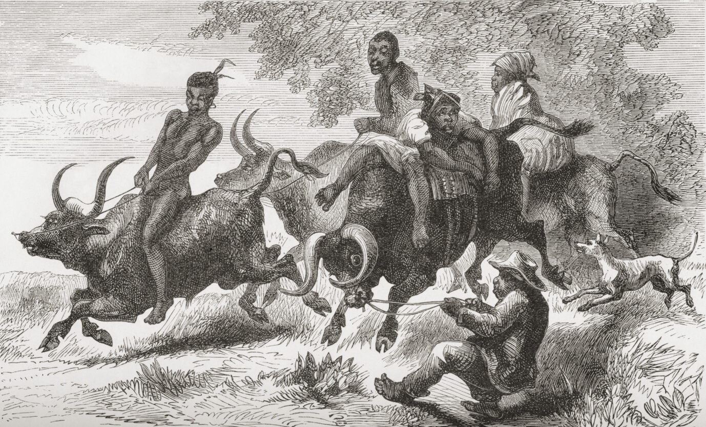Angehörige der Khoisan, 1884 auf Bullen: Innerafrikanische Vertreibungen und Sklaverei waren nicht unüblich. Foto: picture alliance / Design Pics | Ken Welsh