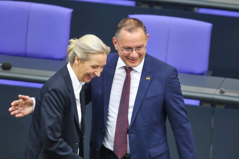 AfD-Vorsitzende Alice Weidel und Tino Chrupalla: Vor allem FDP-Wähler sind für die Abschaffung des §188 StGB, gefolgt von den Anhängern der AfD. Foto: picture alliance / dts-Agentur | dts Nachrichtenagentur GmbH