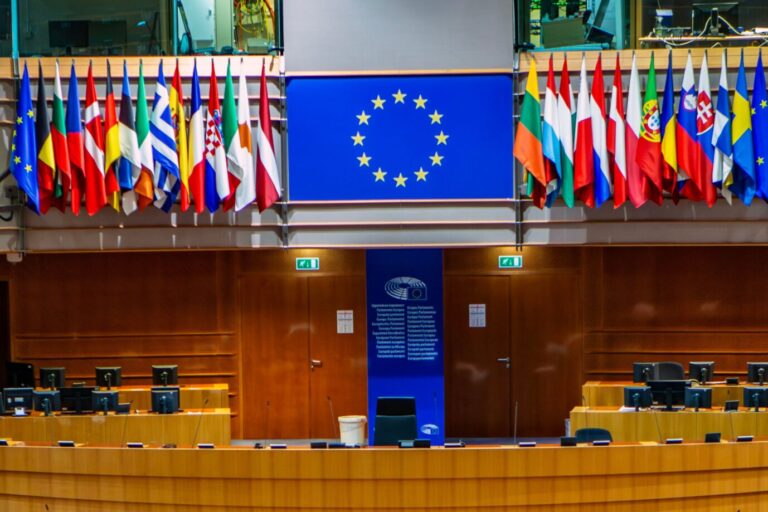 Das Bild zeigt das EU-Parlament. Viele NGOs versuchen, die Politik zu beeinflussen.