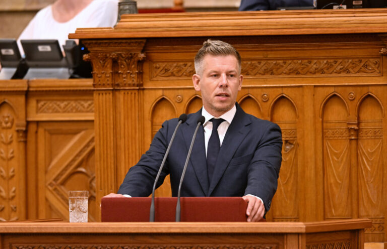 Ungarns Ministerpräsident Péter Magyar: „Der Fidesz hat natürlich dagegen gestimmt, weil sie nicht gegen die Korruption kämpfen wollen“