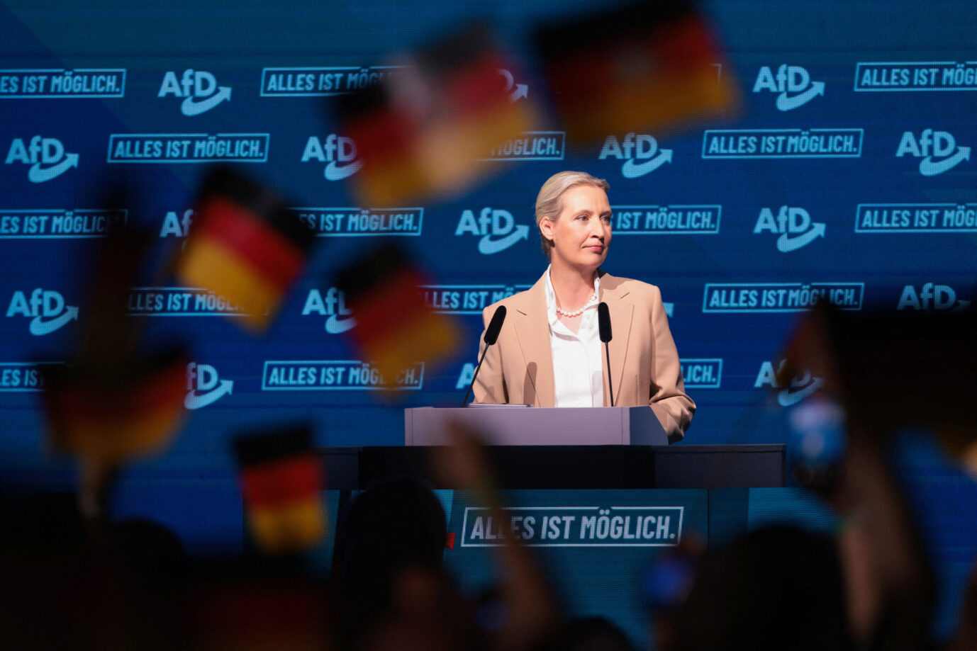 Alice Weidel: Seitenhieb auf die SPD. Foto: picture alliance / REUTERS | Christian Mang. Fünf-Prozent-Hürde abgelehnt.