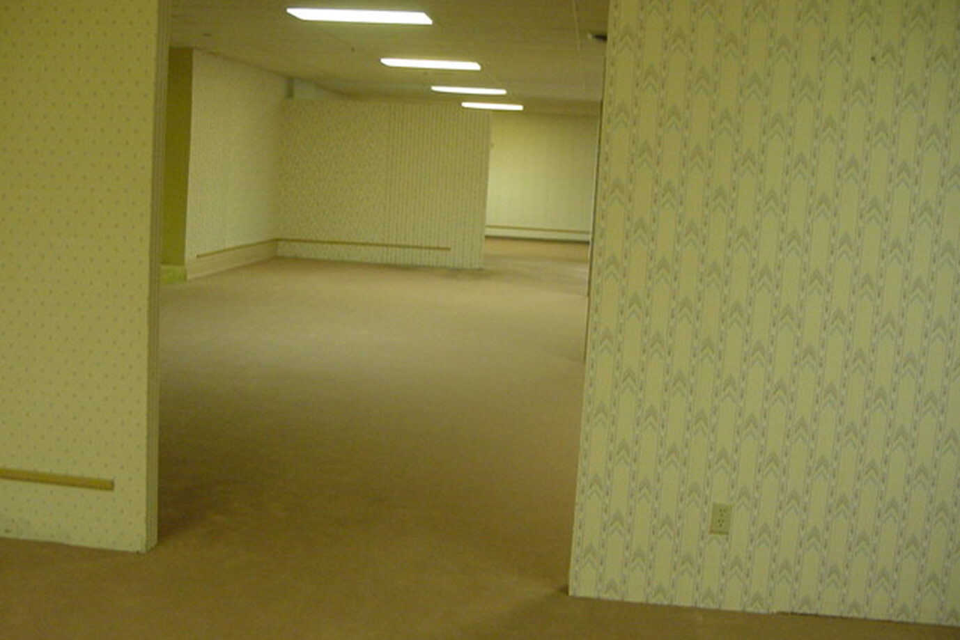 Ein leerer Flur mit gelber Tapete, Leuchtröhren und gelbem Fußbodenteppich: Die Backrooms